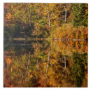 Suche nach hampshire fliesen Blattwerk