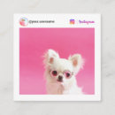 Suche nach begleiter visitenkarten Qr code