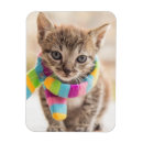 Suche nach tabby magnete Feline