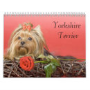 Suche nach yorkshire terrier kalender Welpe
