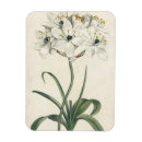 Suche nach elfenbein magnete Mit blumen