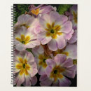 Suche nach neu planer Bunt