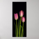 Suche nach rosa tulpen poster Mit blumen