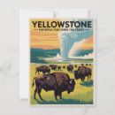 Suche nach yellowstone nationalpark postkarten Gelbstein