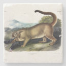 Suche nach puma untersetzer Panther