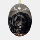 Suche nach labrador retriever ornamente Liebe