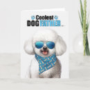 Suche nach bichon frises Für ihn