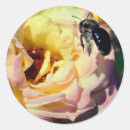 Suche nach hummeln aufkleber Für sie