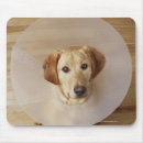 Suche nach gesundheitswesen und medizin mousepads Pflege