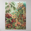 Suche nach kunstvolle poster Pflanze