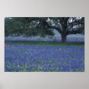 Suche nach war bonnet poster Blau