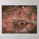 Suche nach eidechsen poster Landschaft