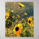 Suche nach stürmischer himmel poster Natur