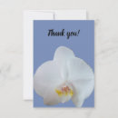 Suche nach phalaenopsis karten Weiß