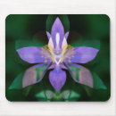 Suche nach bouldern mousepads Superstock