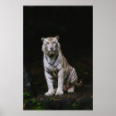Suche nach retro tiger poster Natur