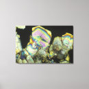 Suche nach biologie leinwandbilder Mikrografie