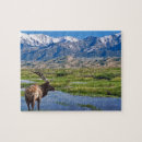 Suche nach rocky mountain puzzle Felsige berge