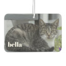 Suche nach besitzen autozubehör Katze