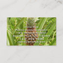 Suche nach früchte visitenkarten Jede person