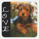 Suche nach airedale terrier aufkleber Welpe