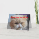 Suche nach persisch karten Spaß