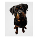 Suche nach rottweiler hund poster Lustig