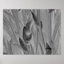 Suche nach japanese art poster Black and white