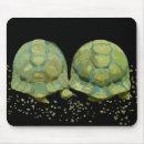 Suche nach schildkröte muschel mousepads Schildkröten