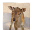 Suche nach deer fliesen Junggesellstag