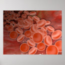 Suche nach zytologie poster Detail