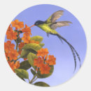 Suche nach blauer kolibri aufkleber Blume