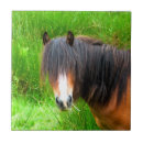 Suche nach ponys fliesen Jede person