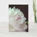 Suche nach peony kleine grußkarten Pfennigfuchser