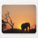 Suche nach einstellungen mousepads Dämmerung