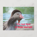 Suche nach fantastisches gesicht Lustig