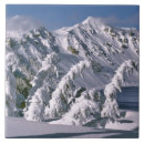 Suche nach jahreszeit fliesen Gefroren