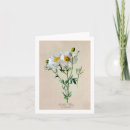 Suche nach mohnblume karten Blumen