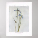 Suche nach schmales poster Blume