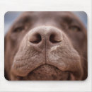 Suche nach nase mousepads Haustier