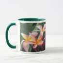 Suche nach plumeria blumen tassen Hibiskus