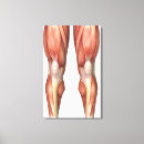 Suche nach beine leinwandbilder 3d