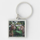 Suche nach tierthemen accessoires Wild lebende tiere