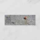 Suche nach marienkäfer visitenkarten Natur