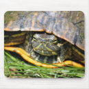 Suche nach schildkröte muschel mousepads Wasser