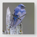 Suche nach grenze wanduhren Blau