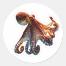 Suche nach kopffüßer aufkleber Tintenfisch