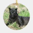 Suche nach panther ornamente Wild lebende tiere