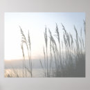 Suche nach whisky poster Fotografie