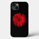 Suche nach roter gerbera elektronik zubehör Bouquet